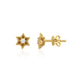yellow gold six-pointed star stud earrings with a central clear stone on white background